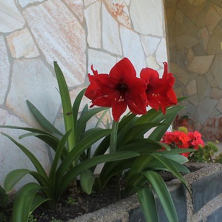 Pension Riego De Ambros Exterior photo