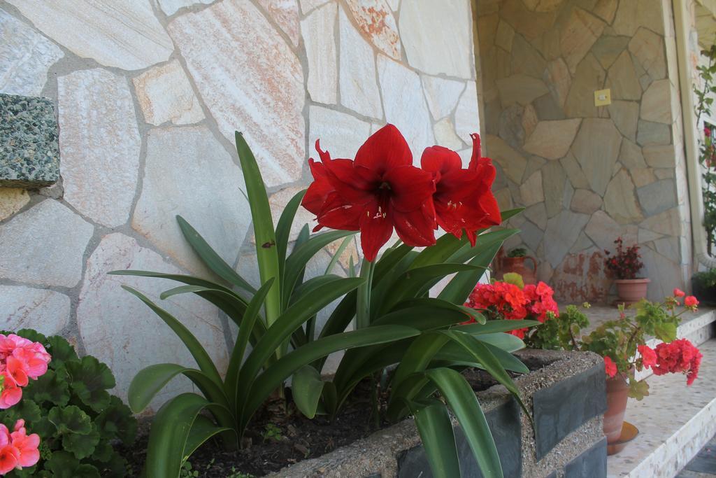 Pension Riego De Ambros Exterior photo